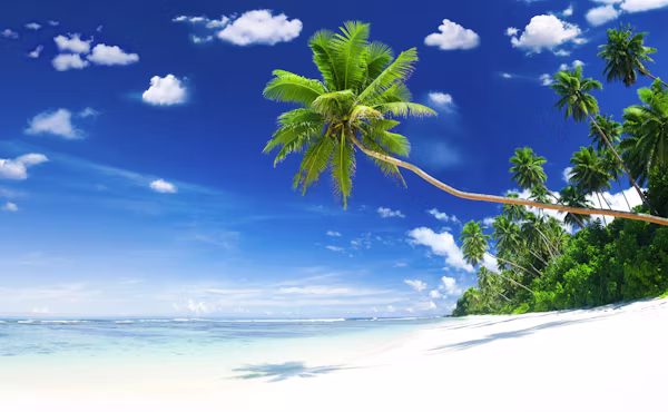 Diani Beach Turquoise Waters